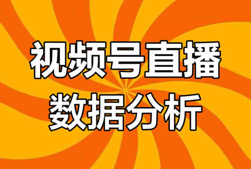 视频号直播数据在哪里看
